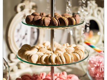 Continental Forum Nunta Satu Mare