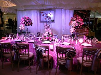 Vivianne Decor Nunta Satu Mare