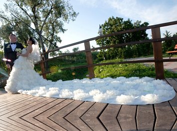 ELLIS Nunta Satu Mare