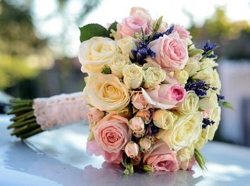 Scepanschi Svetlana Nunta Satu Mare