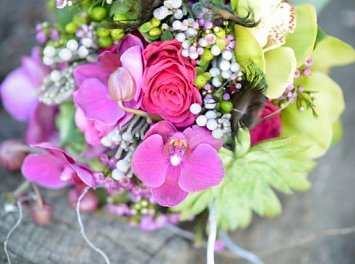 Scepanschi Svetlana Nunta Satu Mare