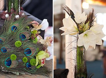 Milenium D&D Nunta Satu Mare