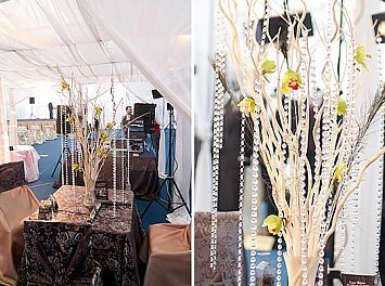 Milenium D&D Nunta Satu Mare