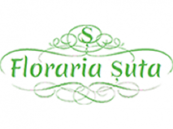 Floraria Suta Nunta Satu Mare